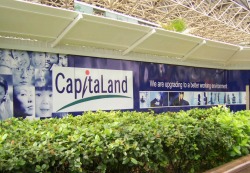 outdoor banner for Capital Land