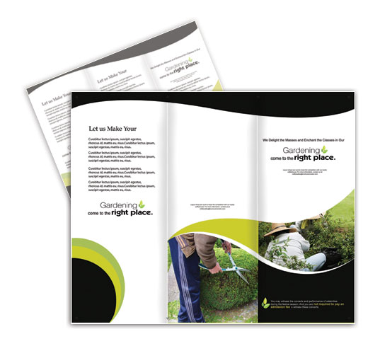brochures